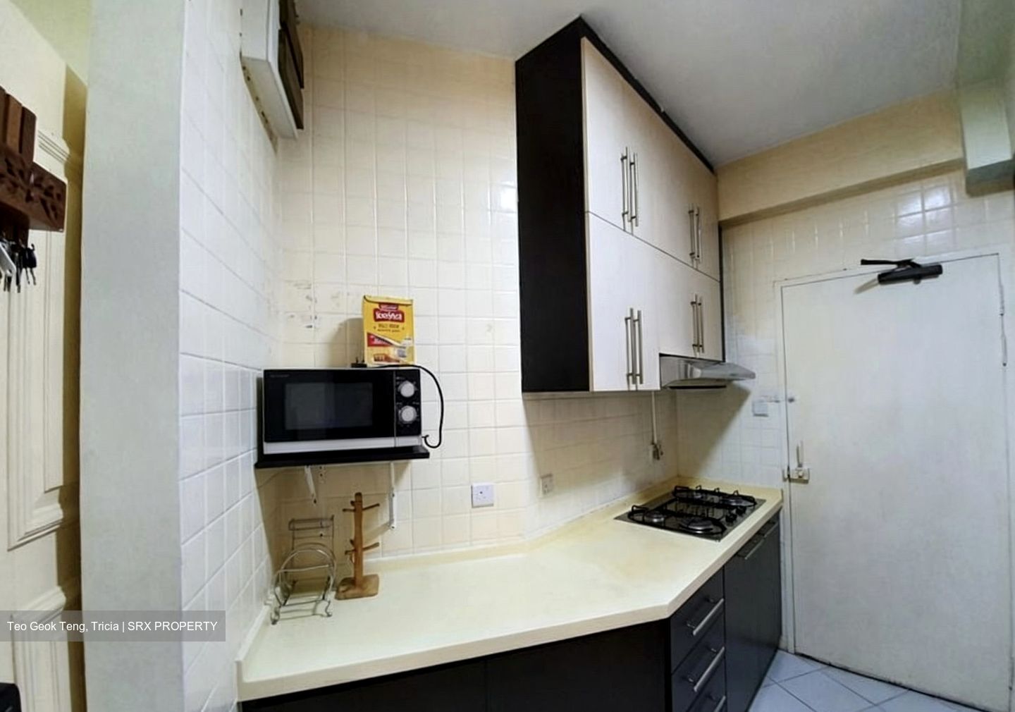 Bayshore Park (D16), Condominium #557033531